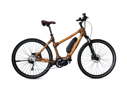 E-Bike - Kreuzfahrt-Edition - Gebraucht